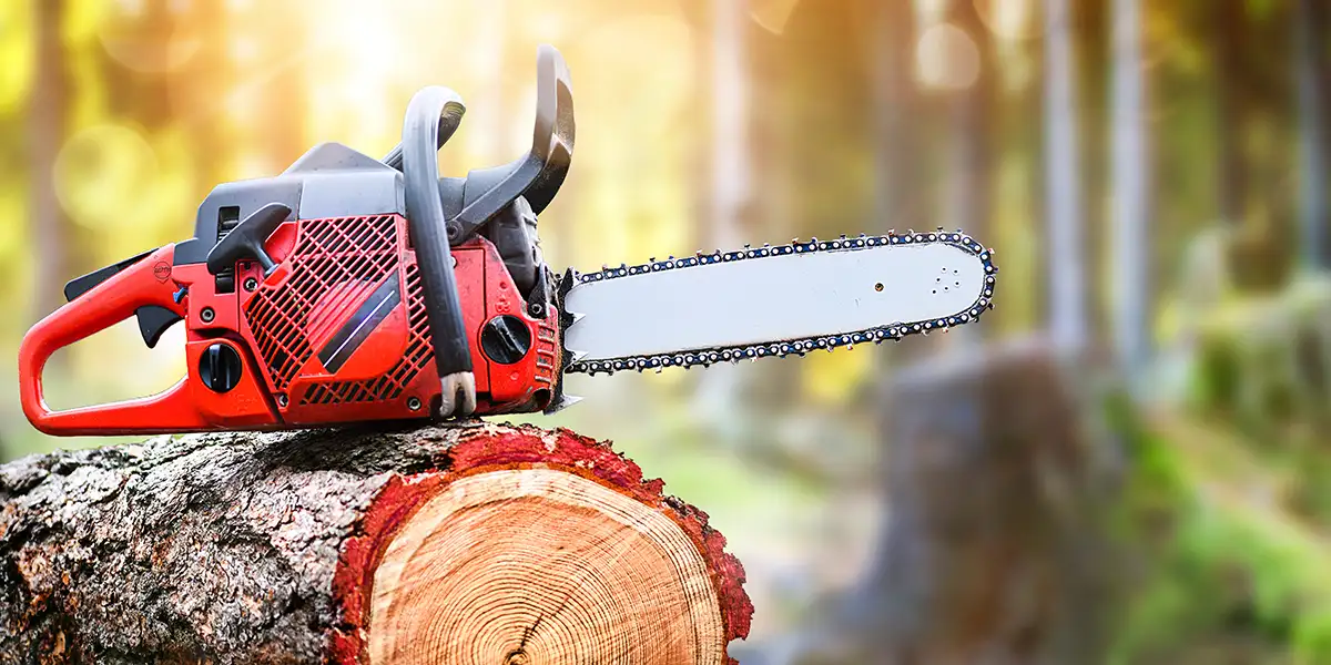 Kettensäge auf Holzstumpf oder Brennholz.